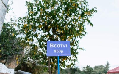 Βεσίνι Αχαΐας 15/08/2025